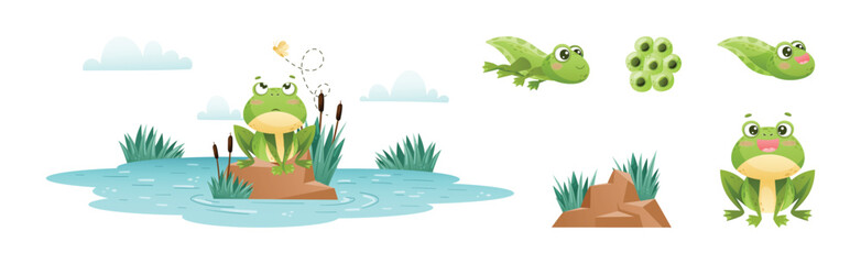 Cute Green Frog or Toad Character with Folded Limbs Vector Set