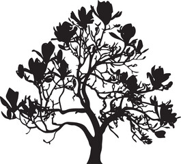 Vector Silhouette of a Magnolia Tree with Detailed Branches and Blossoms on White Background