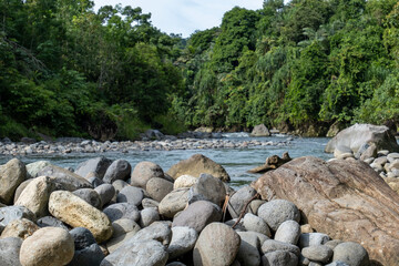 piles of river stones in a river with dense tropical forest. River stone foundation concept for building foundation construction