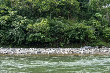 view of a fast river with clear water and hills with rainforest. the concept of nature conservation and river conservation cares for the environment