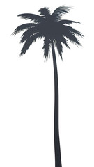 Naklejka premium PNG Palm tree moon outdoors nature.