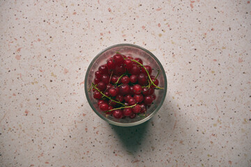 czerwone porzeczki  © Marcin Łazarczyk