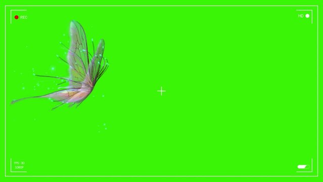A fairy butterfly flies on a green background