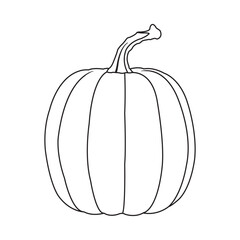 pumpkin fruit icon design