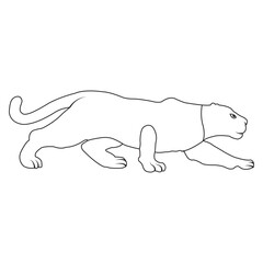 panther icon design