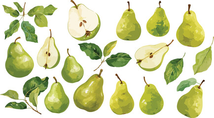 pear watercolor clipart	