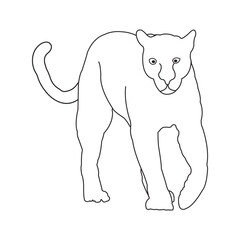 panther icon design