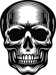 Skull and crossbones icon vector