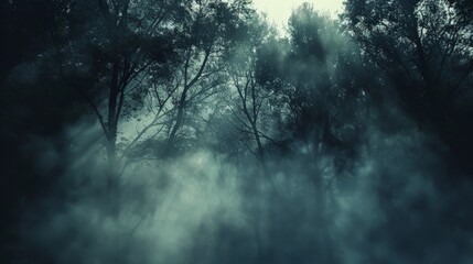 Picture a dense fog rolling through a mysterious forest, shrouding the trees in an eerie mist and adding an air of mystery and intrigue to the ancient woodland.