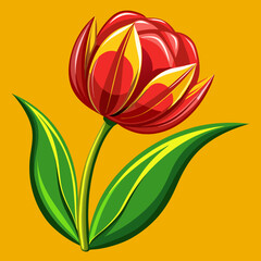 vector illustration of tulip