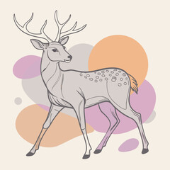 deer illustration
