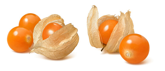 Physalis or golden berries set isolated on white background. Package design element with clipping path