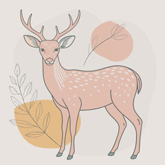 deer illustration