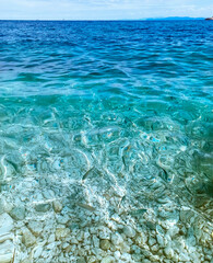 Some fish swim in the cristalline sea in Elba island. Abstract sun ripple patterns in clear wavy shallow sea water background