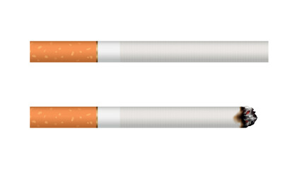 Vector realistic cigarette illustration isolated on white background