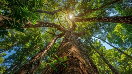 Fototapeta premium Picture a vibrant tropical rainforest with towering kapok trees. Imagine the diverse ecosystem supported by these giants, with vines, orchids, and various wildlife thriving among their branches.