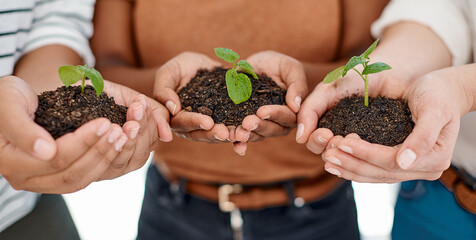 Soil, leaves and hands of business people with teamwork, collaboration and support for earth day. Eco friendly, community and group of employees with dirt for green plants growth for sustainability.