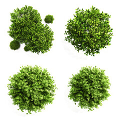 Obraz premium series of silhouettes of green bushes, figures on a white background.