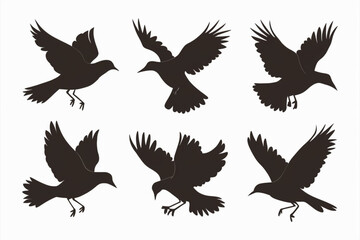 Obraz premium a set of flying birds silhouette in different poses, bird set