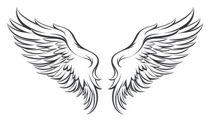 Obraz premium PNG Cartoon drawing white line