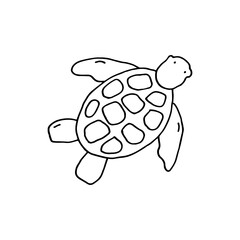 Sea turtle. Large sea animal. Doodle. Vector illustration. Hand drawn. Outline.