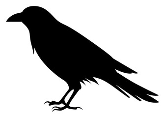 Obraz premium PNG Crow silhouette blackbird agelaius.