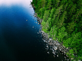 Fototapeta premium Aerial view of blue lake with stone coast and green tree forests on a sunny summer day in Finland.