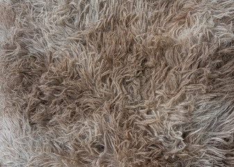 Close-up of textured brown fur resembling straw and hay, capturing natural agricultural patterns