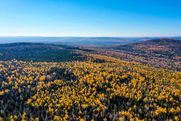 Aerial drone view over autumn forest. Colorful trees in the wood. Colourful autumn colours in forest form above, captured with a drone