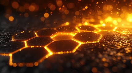 Digital Connectivity Structure