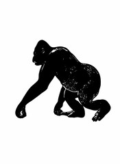 Obraz premium Ilustration vector of gorila 