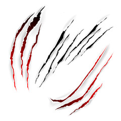 Different scratch Animals Claw with White Background