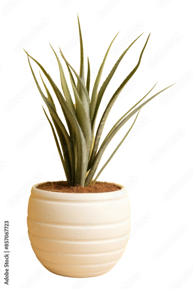 Sticker PNG Ceramic pot plant wall houseplant decoration