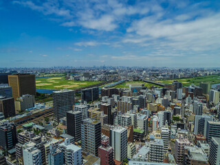 Naklejka premium 【神奈川県】川崎市役所・展望ロビー