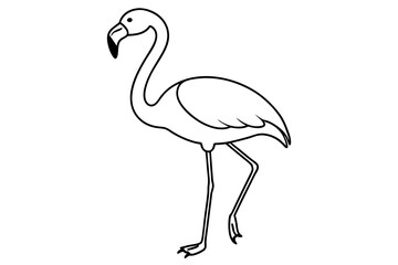 flamingo line art vector, tropical bird flamingo line drawing