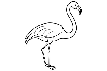 flamingo line art vector, tropical bird flamingo line drawing