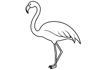 Obraz premium flamingo line art vector, tropical bird flamingo line drawing