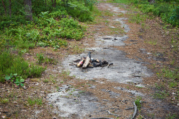 ognisko,las © Marcin Łazarczyk