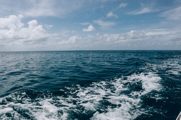 Beautiful Tropical Coral Reef Sea Background - Blue Sky Summer Material.