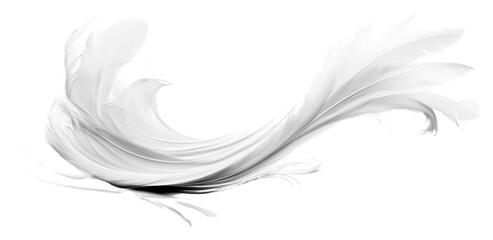 PNG Feather backgrounds swirl white.