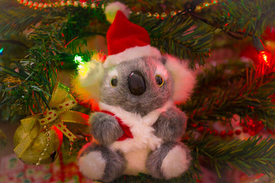 Australian koala bear Christmas tree decoration