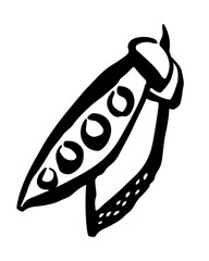 Pea drawing hand painted with ink brush. Png clipart isolated on transparent background