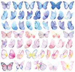 Image of Butterfly collection. Watercolor illustration. Colorful Butterflies clipart set. Gray violet butterfly. Baby shower design elements. Party invitation, birthday celebration. Spring or summer decoration printed on Printed Glass Splashbacks