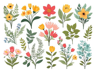 Set collection. Flowers, branches, leaves clipart. illustration. Isolated background transparent 