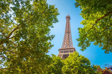 Eiffel tower surrounded by green trees in Paris