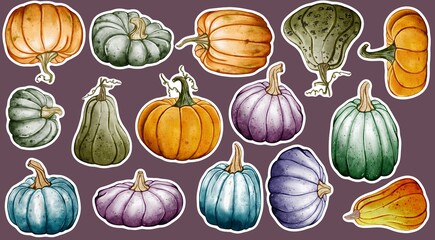 Set of autumn pumpkin stickers 