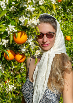 Beautiful woman in orange orchard