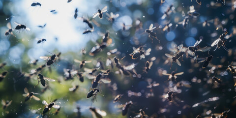Swarm of Insects in Flight Against a Blurred Natural Background