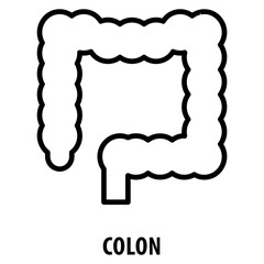Colon Icon simple and easy to edit for your design elements