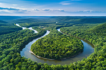 view of the river in the forest